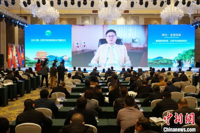 图为东盟国家部长视频致辞。　欧惠兰 摄